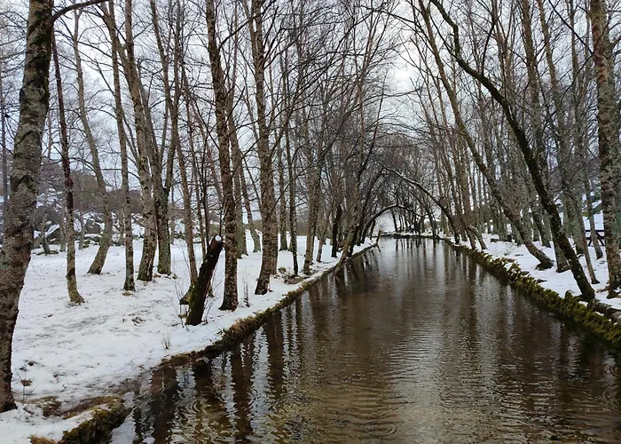 Cabeço Fráguas - Centro Da * Guarda